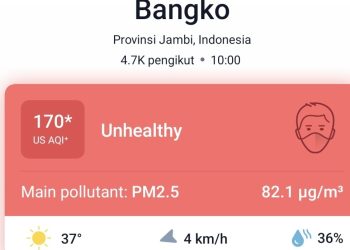 Asap Karhutla Masih Terjadi di Merangin, Status ISPU Masih “Tidak Sehat”