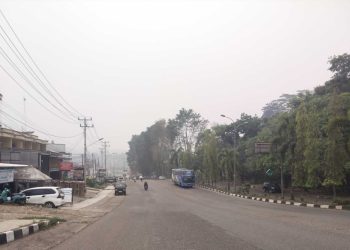 Asap Karhutla di Kabupaten Merangin Kembali Tebal, ISPU 168 Kategori “Tidak Sehat” 